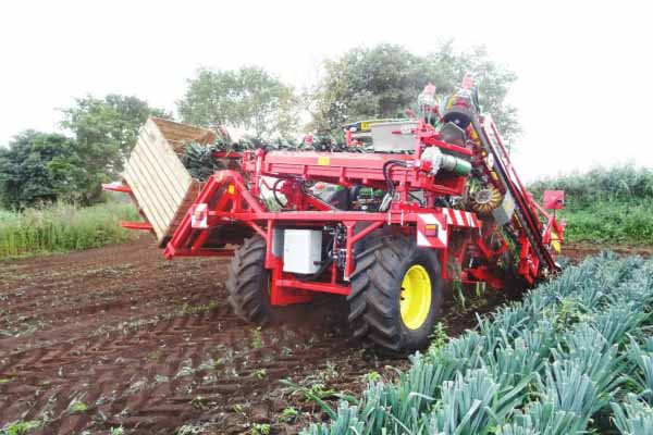 Burdens specialist vegetable machinery gallery verhoest automatic leek harvester
