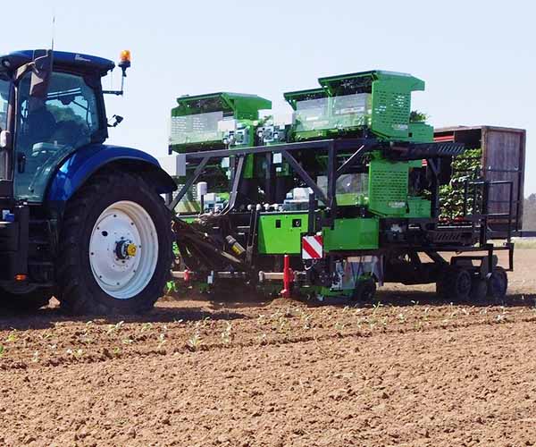 Burdens specialist vegetable machinery home franchise agriplant