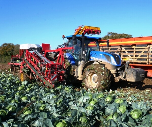 Burdens specialist vegetable machinery home franchise verhoest