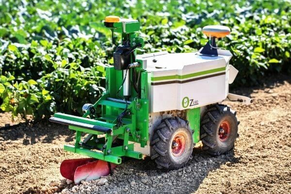 burdens specialist vegetable machinery naio oz robotic weeder 1 1