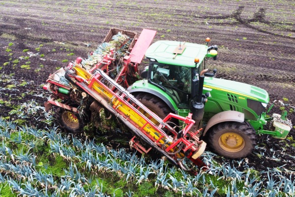 burdens specialist vegetable machinery verhoest automatic leek harvester for sale 1