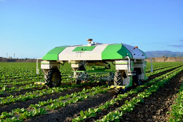 The Burdens Group Naio Technologies DINO vegetable weeding robot
