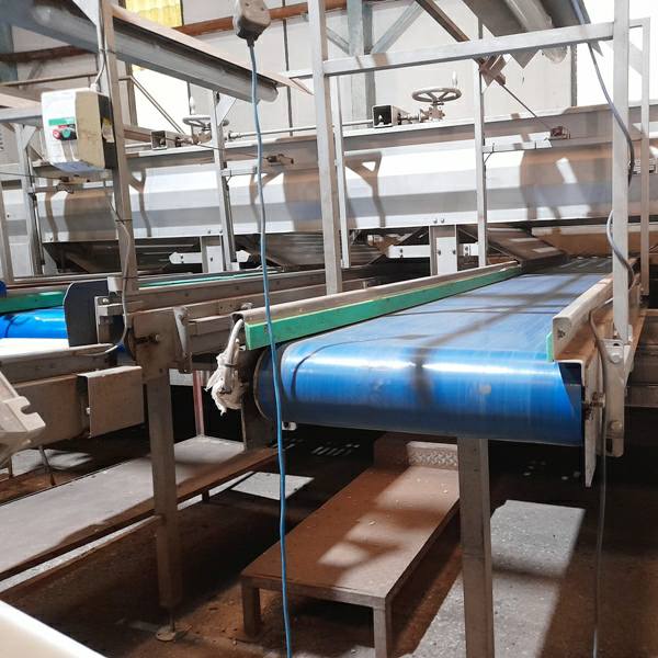Bruynooghe Sprout Grading Line for Sale UK